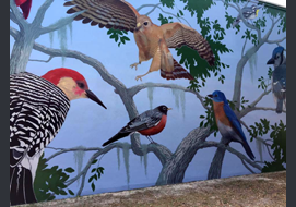 This outdoor 24' x 42' mural can be seen in Riverside Park, Vero Beach FL. It was a group volunteer project of the Art Club, but Carol Makris designed it and painted all the birds.